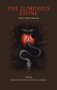 The Luminous Stone (Lucifer in Western Esotericism) by Michael Howard, Daniel Schulke, Hagen Von Tulien, 9781945147043