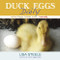 Duck Eggs Daily (Raising Happy, Healthy Ducks...Naturally) by Lisa Steele, 9780989268882