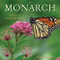 The Monarch (Saving Our Most-Loved Butterfly) by Kylee Baumle, 9781943366170