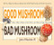 Good Mushroom Bad Mushroom (Who's Who, Where to Find Them, and How to Enjoy Them Safely) by John Plischke, 9780981961583