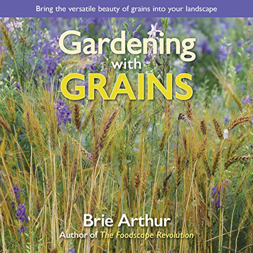 Gardening with Grains (Bring the Versatile Beauty of Grains to Your Edible Landscape) by Brie Arthur, 9781943366354