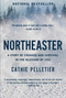Northeaster (A Story of Courage and Survival in the Blizzard of 1952) - 9781639365807 by Cathie Pelletier, 9781639365807