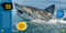Deadliest Animals on the Planet by National Geographic Kids, 9781426373183