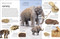 Eyewitness Fossil - 9780744092066 by Paul David Taylor