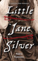 Little Jane Silver (A Little Jane Silver Adventure) by Adira Rotstein, 9781554888788