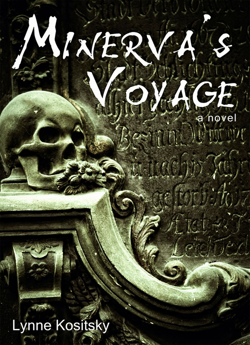 Minerva's Voyage by Lynne Kositsky, 9781554884391