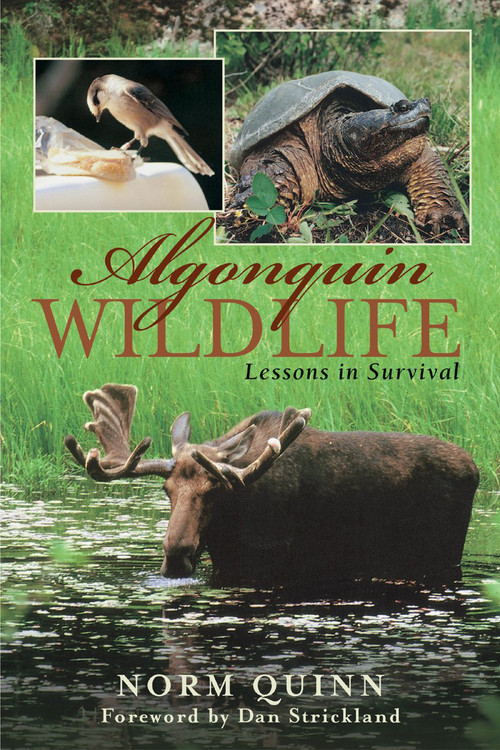 Algonquin Wildlife (Lessons in Survival) by Norm Quinn, Cassandra Ward, Dan Strickland, 9781896219288