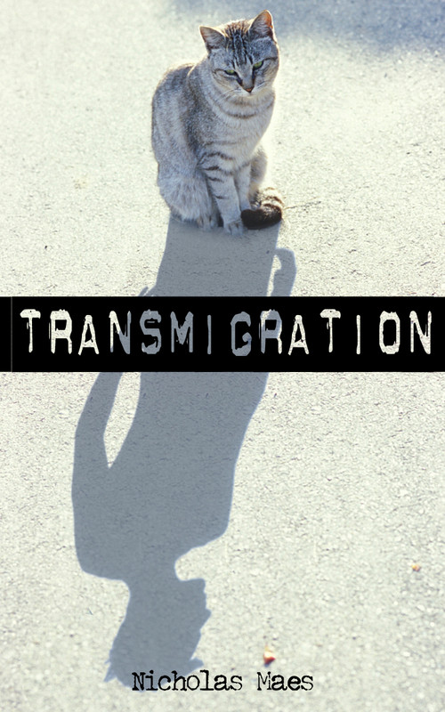 Transmigration by Nicholas Maes, 9781459702318