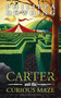 Carter and the Curious Maze (Weird Stories Gone Wrong) by Philippa Dowding, 9781459732490