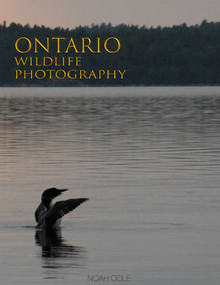 Ontario Wildlife Photography by Noah Cole, 9781459749504