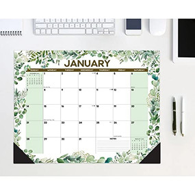 Eucalyptus & Succulents 2024 22" x 17" Large Monthly Deskpad by Willow Creek Press, 9781549238758