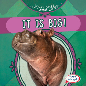 It Is Big! - 9781538284827 by Beth Gottlieb