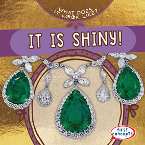It Is Shiny! - 9781538284889 by Beth Gottlieb
