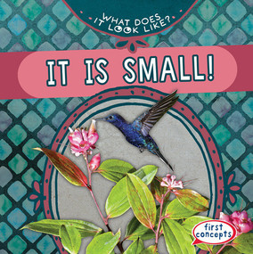It Is Small! - 9781538284919 by Beth Gottlieb