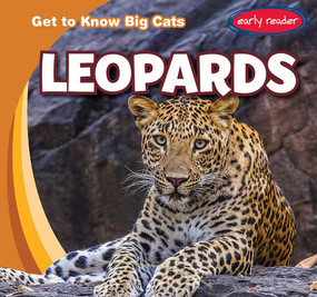 Leopards - 9781538286043 by Bray Jacobson