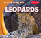 Leopards - 9781538286043 by Bray Jacobson
