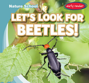 Let's Look for Beetles! - 9781538286173 by Seth Lynch