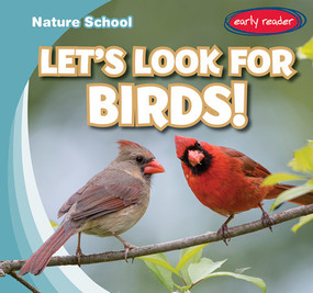 Let's Look for Birds! by Seth Lynch, 9781538286197