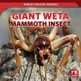 Giant Weta: Mammoth Insect by Natalie Humphrey, 9781642825541