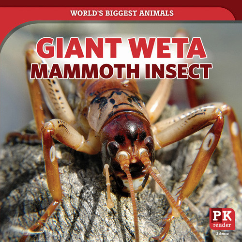Giant Weta: Mammoth Insect by Natalie Humphrey, 9781642825541