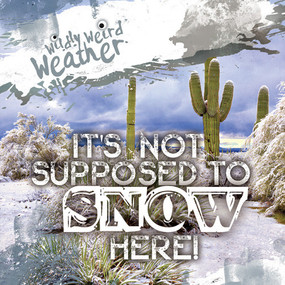It's Not Supposed to Snow Here! by Jill Keppeler, 9781538287972