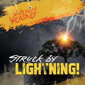 Struck by Lightning! - 9781538288009 by Caitie McAneney