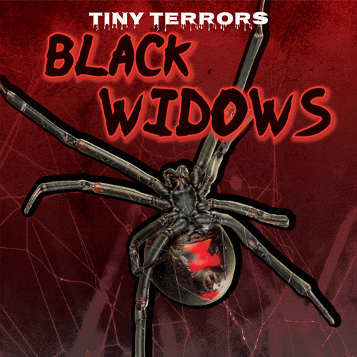 Black Widows - 9781642826210 by Jill Keppeler