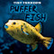 Puffer Fish - 9781642826340 by Jill Keppeler