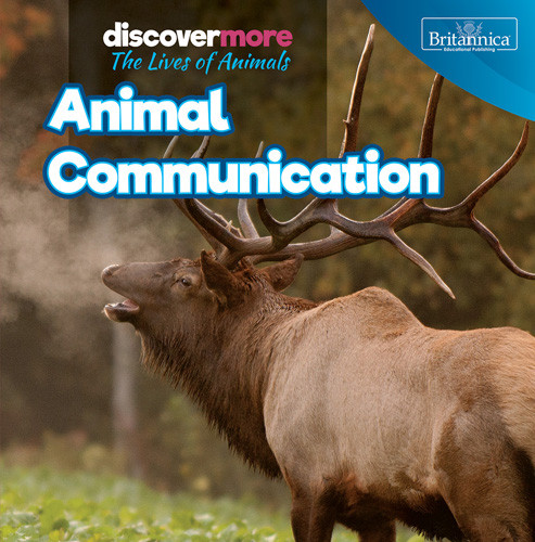 Animal Communication - 9781642828627 by Doug Bradley, 9781642828627