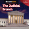 The Judicial Branch - 9781642828993 by Ezra E. Knopp