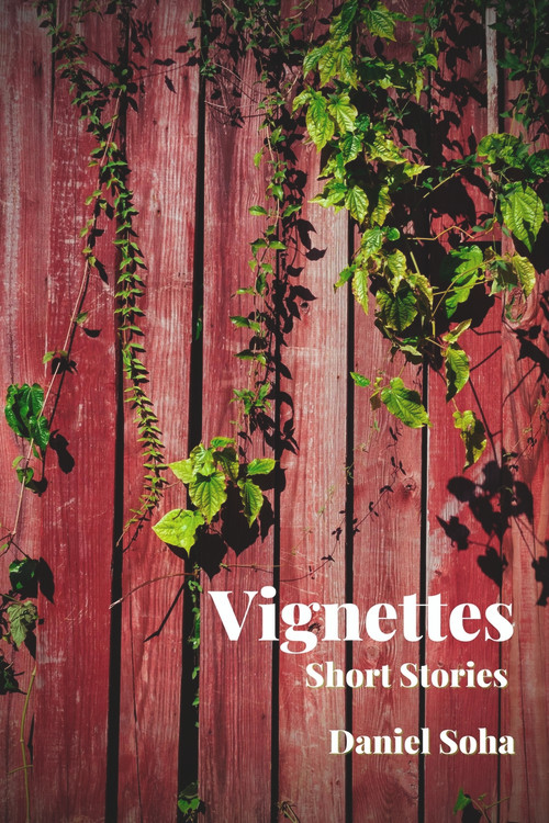 Vignettes by Daniel Soha, 9781771617000