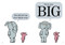 A Big Guy Took My Ball!-An Elephant and Piggie Book by Mo Willems, 9781423174912