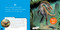 So Cool! Dinos by Crispin Boyer, 9781426339042