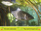 In the Pond (National Geographic Kids Readers, Pre-Reader) by Aubre Andrus, National Geographic Kids, 9781426339257