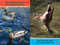 In the Pond (National Geographic Kids Readers, Pre-Reader) by Aubre Andrus, National Geographic Kids, 9781426339257
