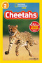 Cheetahs (National Geographic Kids Readers, Level 2) by Laura Marsh, National Geographic Kids, 9781426308550