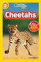 Cheetahs (National Geographic Kids Readers, Level 2) by Laura Marsh, National Geographic Kids, 9781426308550