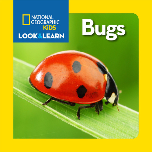 National Geographic Kids Look & Learn: Bugs by National Geographic Kids, 9781426318764