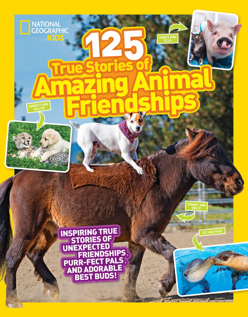 National Geographic Kids 125 True Stories of Amazing Animal Friendships by Lisa M. Gerry, 9781426330186