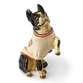 Sweater Weather - Dog Sweater (X-Small) by Brass Monkey, Mudpuppy, 9780735377264