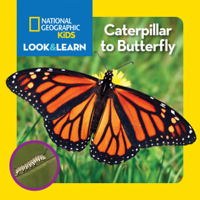 National Geographic Kids Look & Learn: Caterpillar to Butterfly by National Geographic Kids, 9781426323065