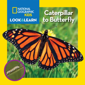 National Geographic Kids Look & Learn: Caterpillar to Butterfly by National Geographic Kids, 9781426323065