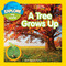 Explore My World: A Tree Grows Up by Marfe Ferguson Delano, 9781426324291