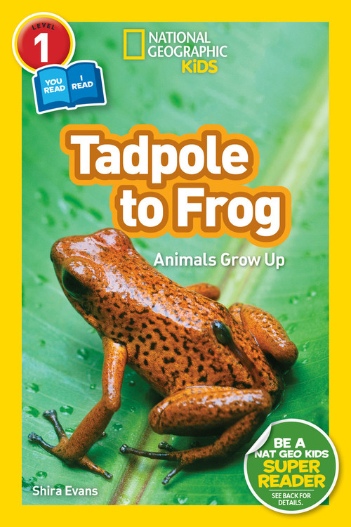 Tadpole to Frog (National Geographic Kids Readers, Level 1/Co-Reader) (Animals Grow Up) by Shira Evans, National Geographic Kids, 9781426332036