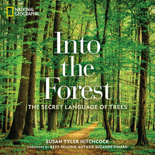 Into the Forest (The Secret Language of Trees) by Susan Tyler Hitchcock, 9781426218903