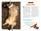 How to Speak Cat (A Guide to Decoding Cat Language) by Aline Alexander Newman, Gary Weitzman, DMV, MPH, CAWA, 9781426318634