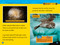 Arctic Animals (National Geographic Kids Readers, Level 2) - 9781426339936 by Jennifer Szymanski, National Geographic Kids
