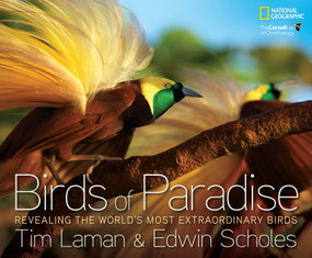 Birds of Paradise (Revealing the World's Most Extraordinary Birds) by Tim Laman, 9781426209581