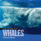 Face to Face with Whales by Linda Nicklin, 9781426306976