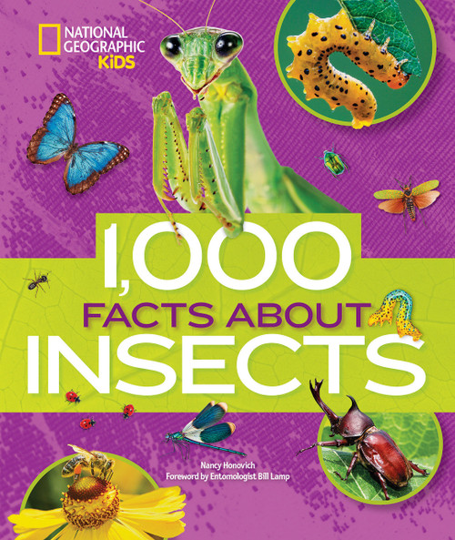 1,000 Facts About Insects - 9781426329944 by Nancy Honovich